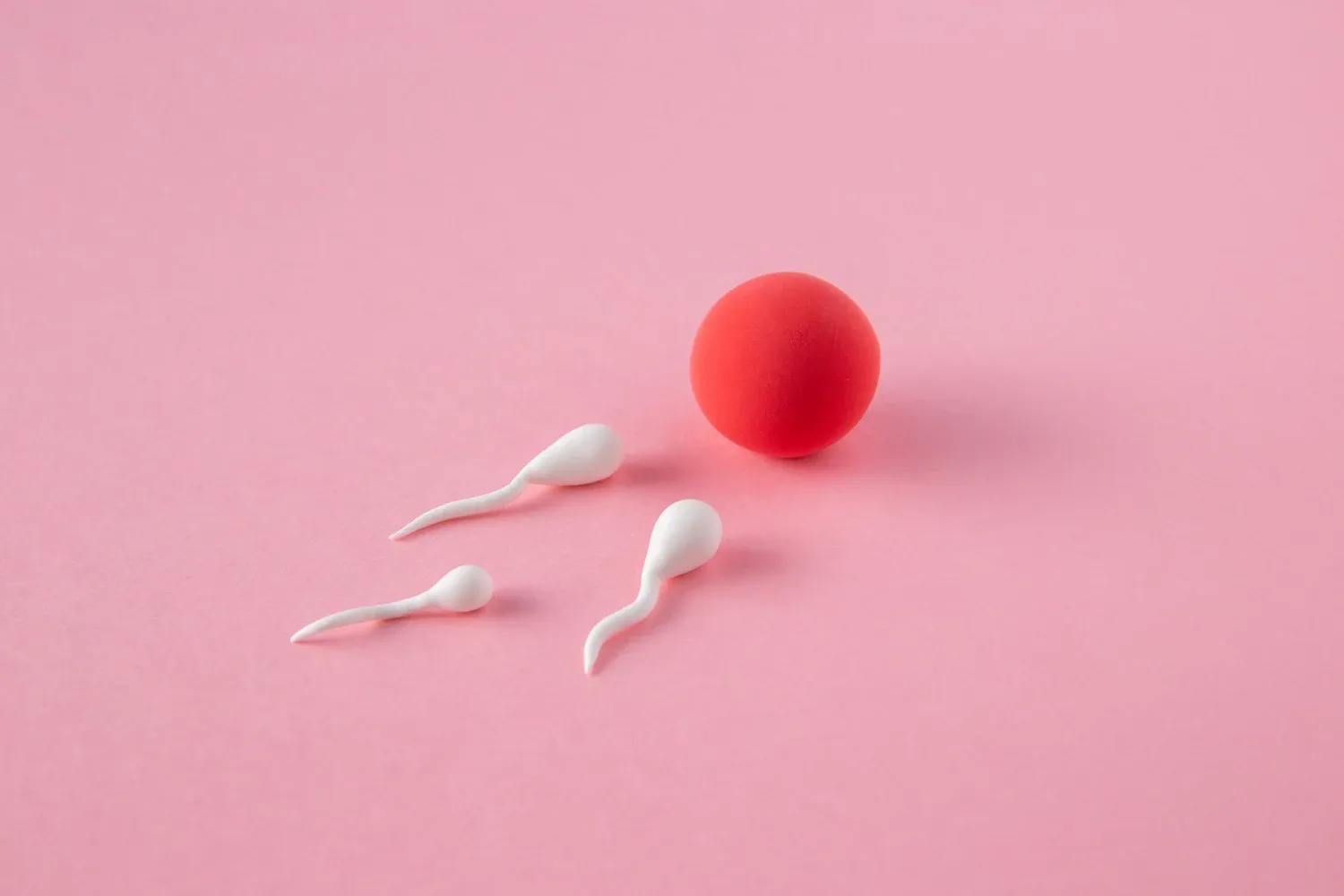 complete guide to fertility preservation in spain