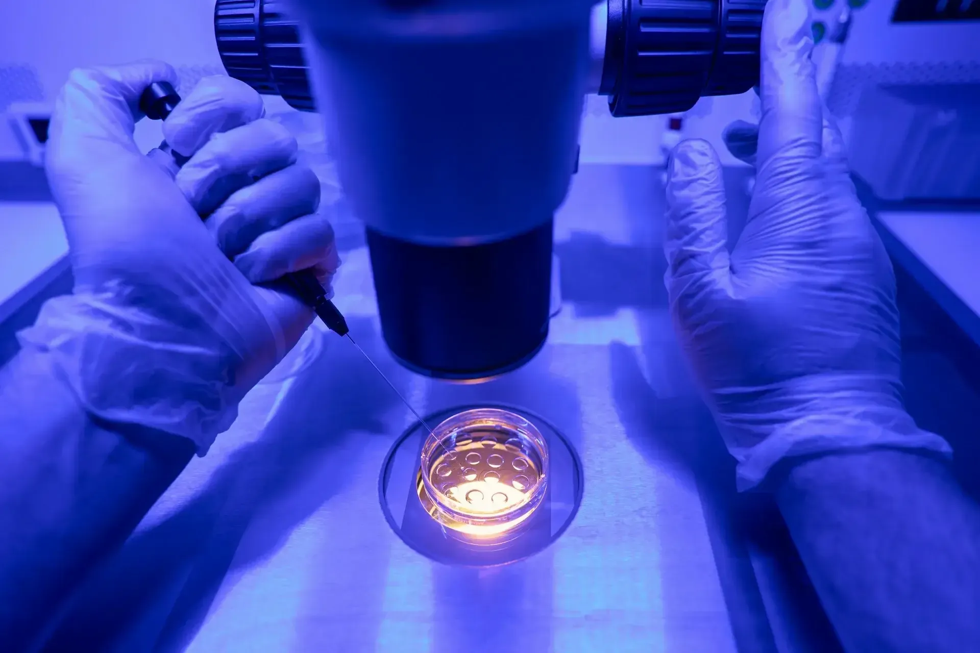 process of egg freezing in spain