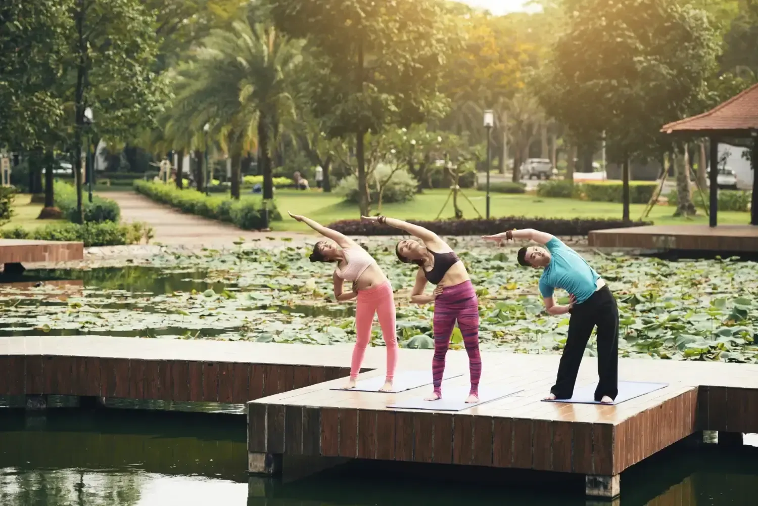 group of people engaging in fitness activities