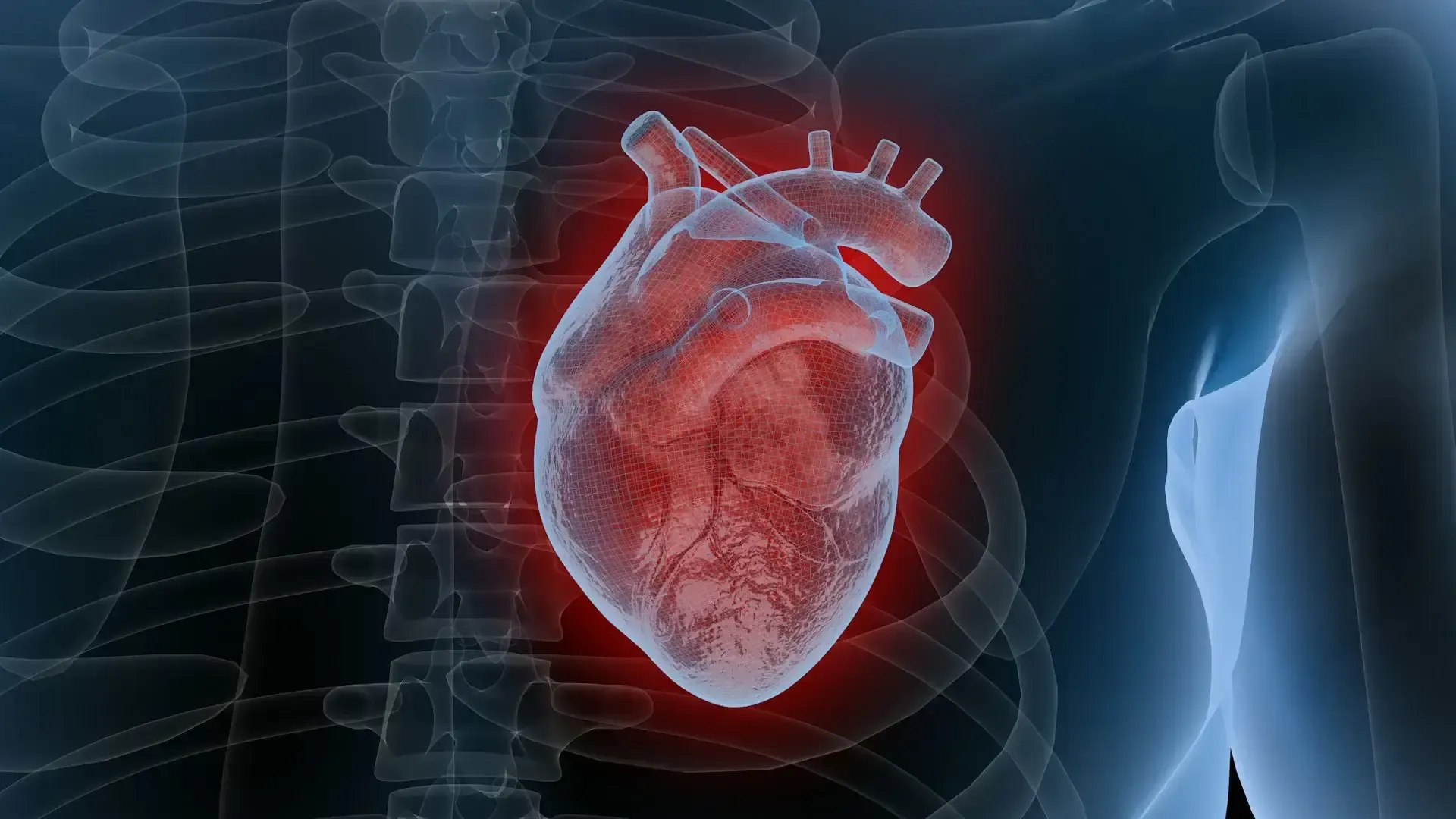is heart valve replacement in turkey safe and affordable