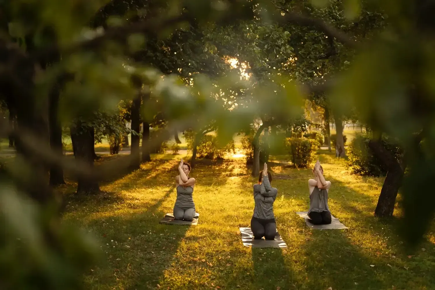 group of people practicing yoga and meditation at a serene retreat, surrounded by nature